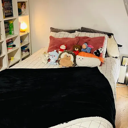 Sousplexe En Bas De Montmartre Apartment